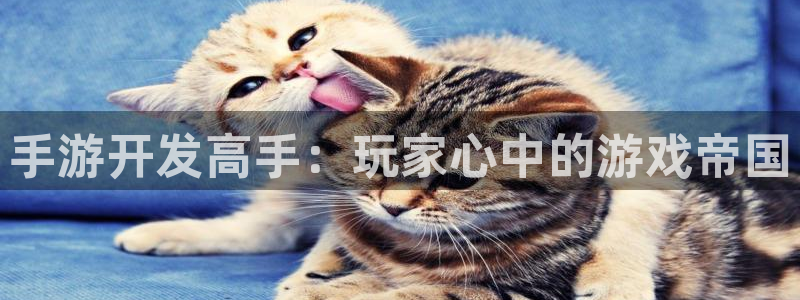 蓝图娱乐PC官网:手游开发高手:玩家心中的游戏帝国