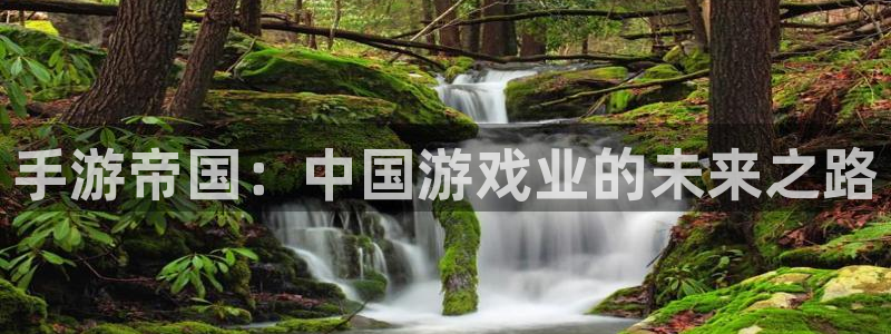 蓝图娱乐杀最厉害三个组合是谁：手游帝国：中国游戏业的未来之路