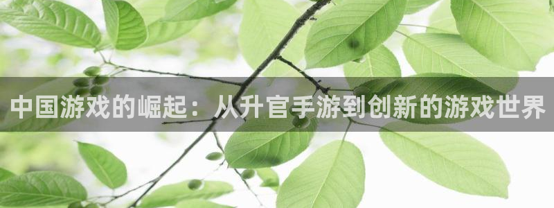 大神吧28注册：中国游戏的崛起：从升官手游到创新的游戏世界