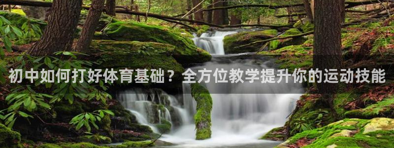 bbin视讯