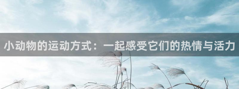 bbin视讯