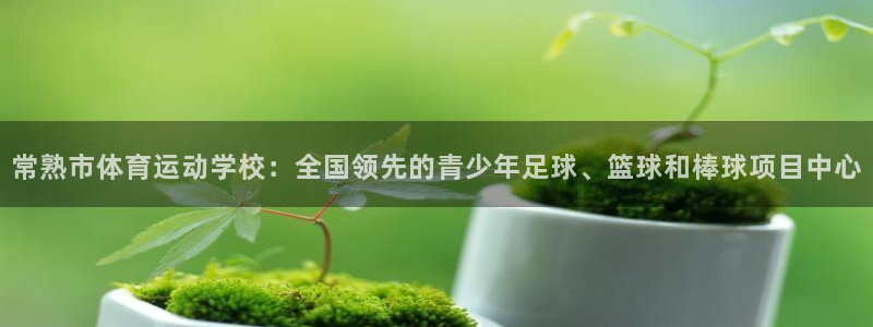 bbin视讯
