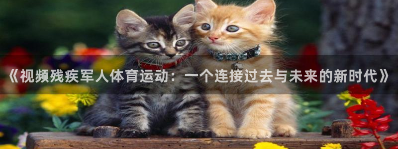 bbin视讯