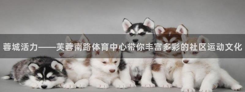 bbin视讯下