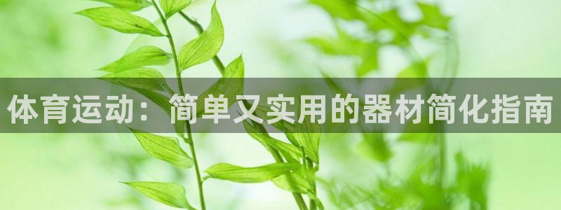 bbin视讯下