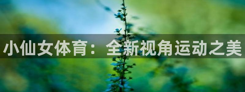 bbin视讯