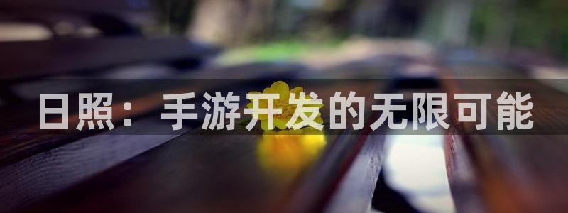 28大神官方下载苹果：日照：手游开发的无限可能