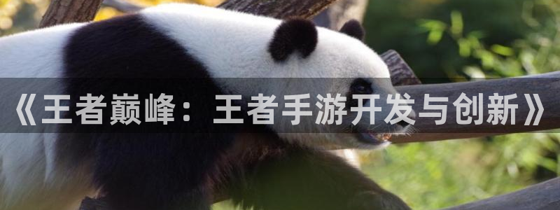 28大神app下载页面：《王者巅峰：王者手游开发与创新》