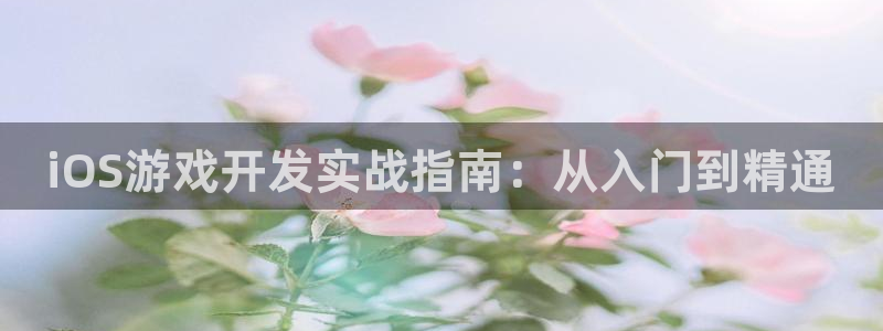 大神加拿大pc28：iOS游戏开发实战指南：从入门到精通